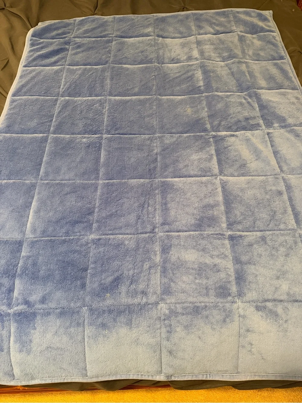 Paw Patrol Kids Blue Plush Weighted Blanket